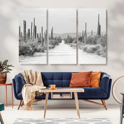 A black and white desert road stretching through a cactus-filled landscape, creating a rugged and timeless southwestern aesthetic with a sense of adventure.