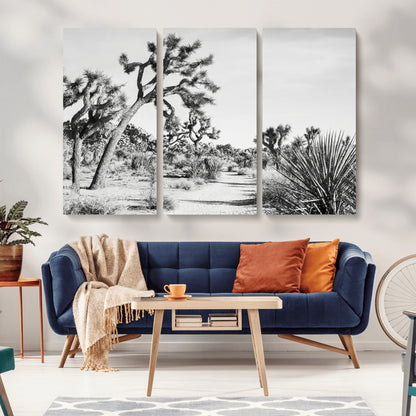 Canvas of a Joshua Tree forest in black and white tones, featuring a desert path and spiky vegetation, ideal for minimalist or rustic decor.