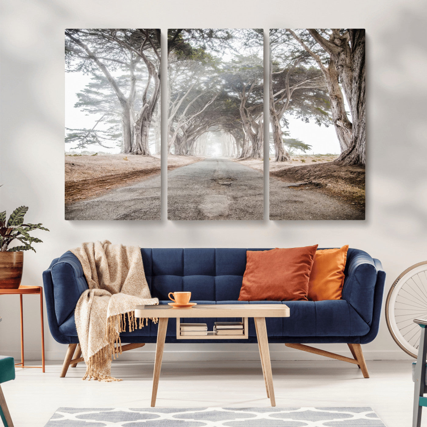 Canvas of a misty tree tunnel with arching cypress trees and an earthy road, ideal for rustic or coastal nature decor.
