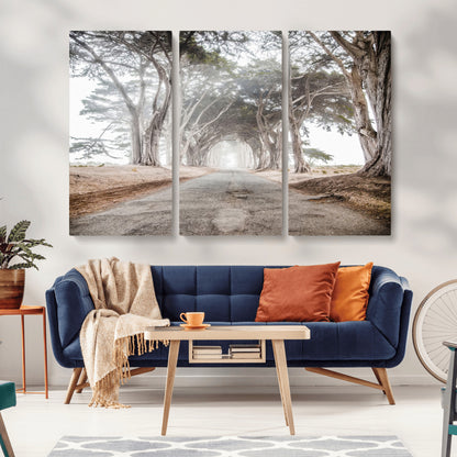 Canvas of a misty tree tunnel with arching cypress trees and an earthy road, ideal for rustic or coastal nature decor.