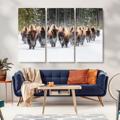 A herd of American bisons walking through a snowy forest path, perfect for rustic cabin or Western-themed wall decor.