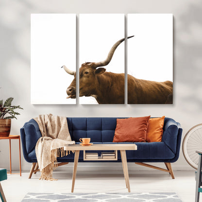 Minimal photo of a longhorn cow with white background, ideal for rustic, western or farmhouse-style interior decor.