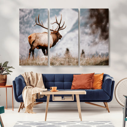 Majestic elk with large antlers standing in grass with snowy mountains in background, perfect for rustic cabin or lodge style decor.