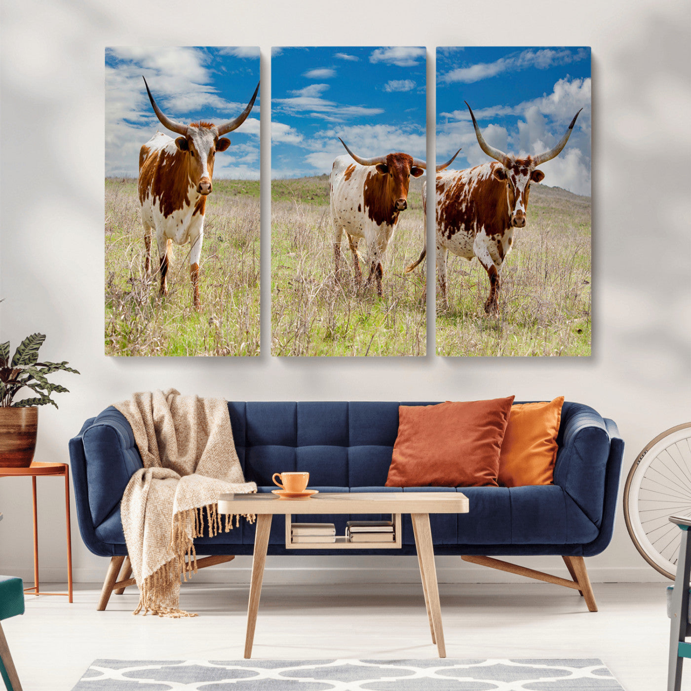 Three Texas longhorn cattle standing in dry grass under a bright blue sky, ideal for farmhouse or western rustic home decor.