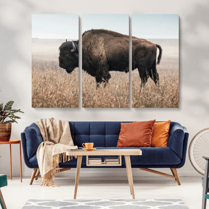 A lone bison stands in a vast prairie under a soft sky, evoking freedom and rustic charm for western or farmhouse inspired interiors.