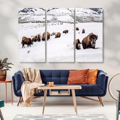 A herd of bison walking through deep snow in a mountain valley, perfect for rustic, cabin or western-themed wall decor.