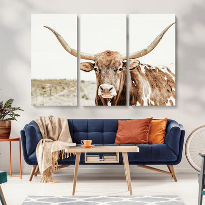 A Texas longhorn bull with wide horns, standing in a dry field under soft light, ideal for rustic farmhouse or western-themed interiors.