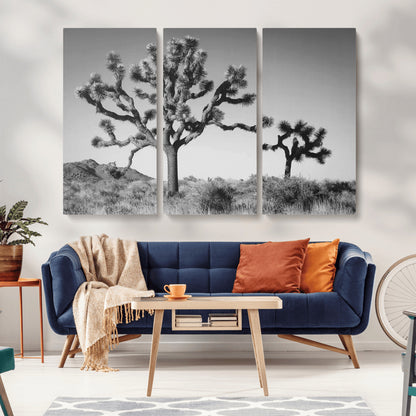 Black and white Joshua trees in a rugged desert landscape, creating a calm and minimalist feel for natural or rustic-themed interiors.