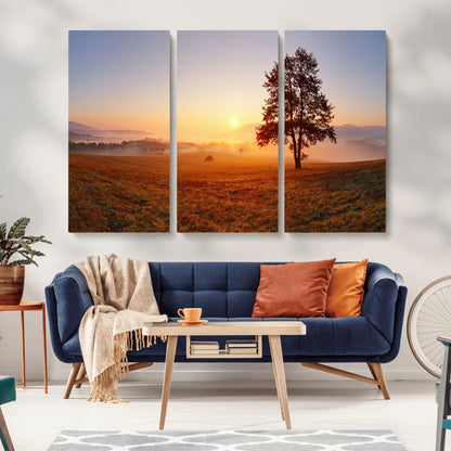 A tranquil landscape at sunrise with a mist-covered field and a lone tree, creating a peaceful and natural atmosphere.