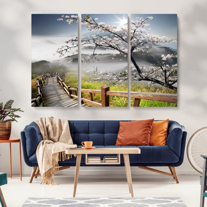 Sakura Cherry Blossom Pathway Canvas Wall Art – Tranquil Walk Through Blossoming Nature – Ready to Hang