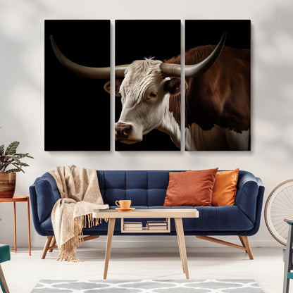 "Close-up of a brown and white longhorn cow with prominent curved horns against a black background."