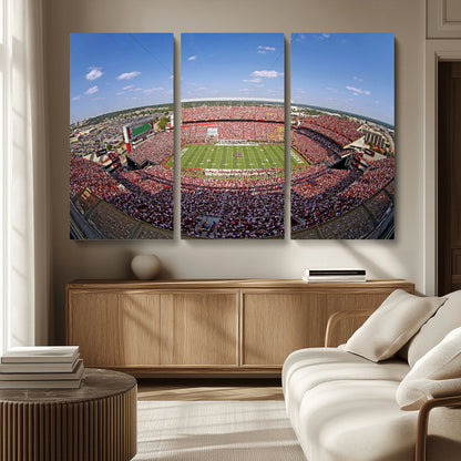 An William Brice-Stadium view of a full football stadium with cheering fans and clear blue skies, capturing the excitement and energy of the game.