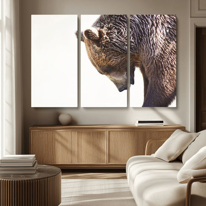 Majestic Bear Portrait - Capture the raw beauty of a bear in a detailed close-up, perfect for your Wall Art Canvas Print collection