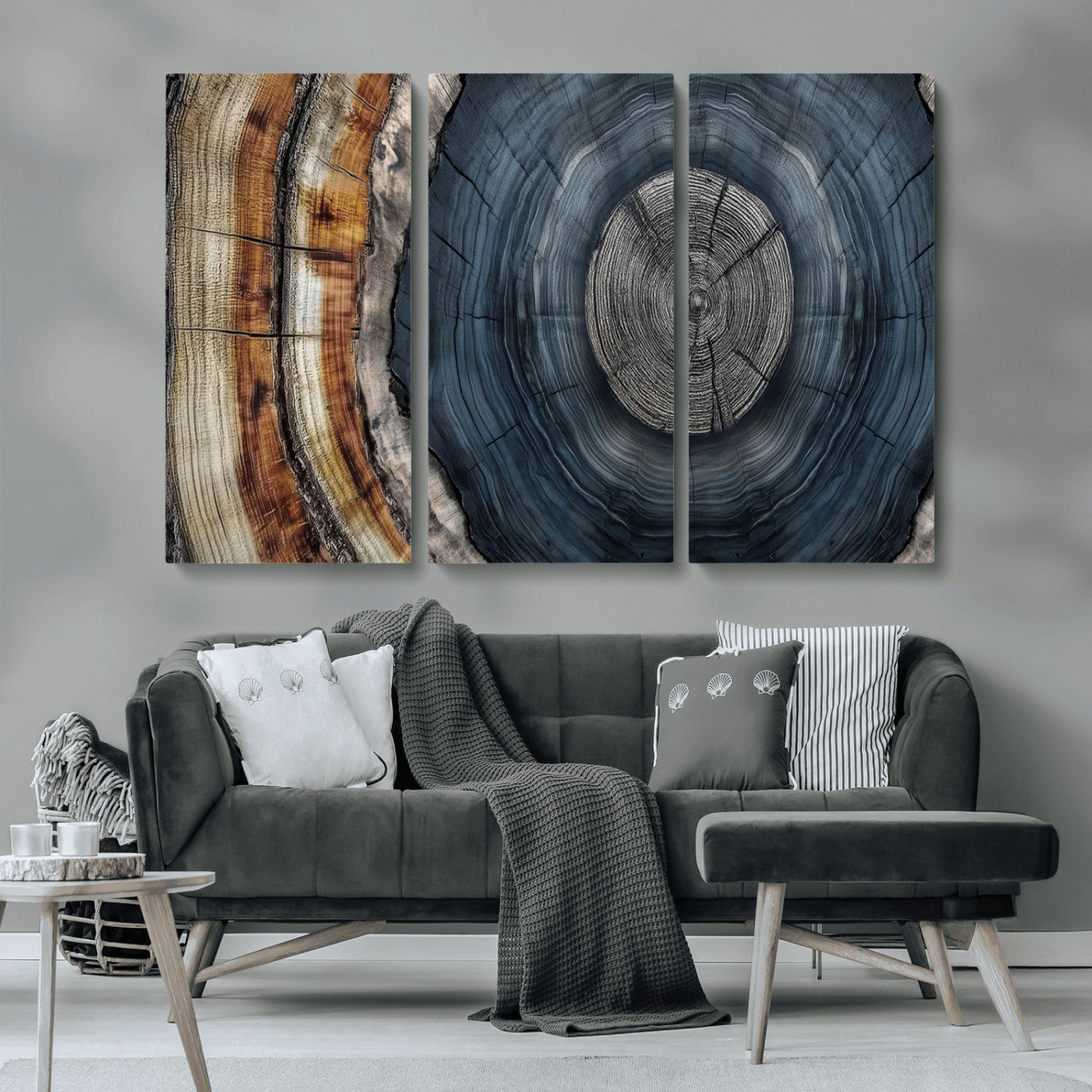 A stunning close-up of a tree trunk showing the intricate, circular growth rings, showcasing the natural textures and rich contrasts in deep blues, browns, and silvers.
