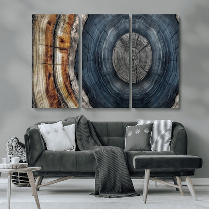 A stunning close-up of a tree trunk showing the intricate, circular growth rings, showcasing the natural textures and rich contrasts in deep blues, browns, and silvers.