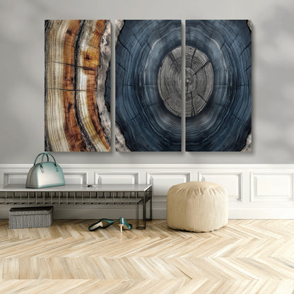 A stunning close-up of a tree trunk showing the intricate, circular growth rings, showcasing the natural textures and rich contrasts in deep blues, browns, and silvers.