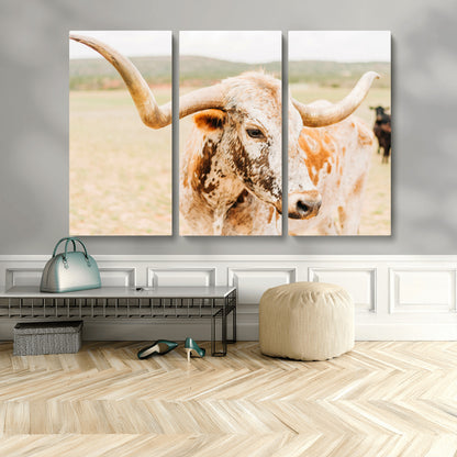 Close-up of a speckled Texas Longhorn in warm prairie tones, perfect for rustic western or countryside-themed room decor.