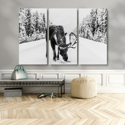 A majestic moose grazing in the snow-covered wilderness, surrounded by snow-covered trees, creating a peaceful winter scene.