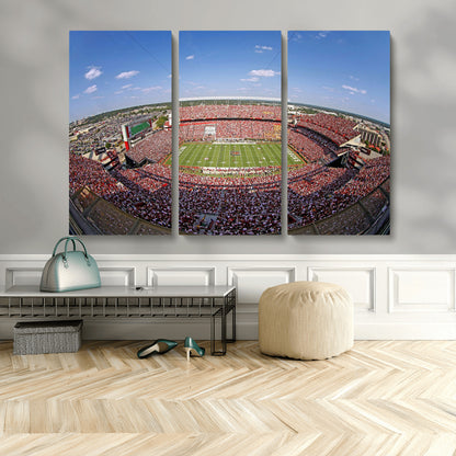An William Brice-Stadium view of a full football stadium with cheering fans and clear blue skies, capturing the excitement and energy of the game.