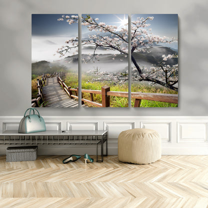 Sakura Cherry Blossom Pathway Canvas Wall Art – Tranquil Walk Through Blossoming Nature – Ready to Hang