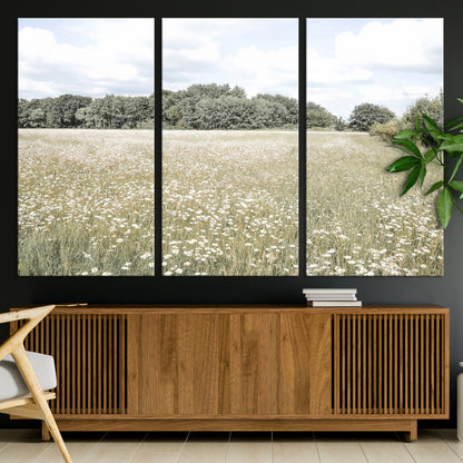 Soft-toned image of a wild daisy field under a cloudy sky, ideal for neutral or Scandinavian-inspired home decor.