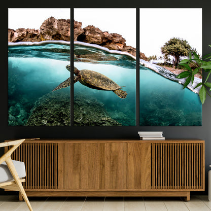 Dynamic split-view photo of a sea turtle swimming near rocky shores, perfect for vibrant coastal or tropical beach home decor.