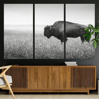 A black and white photograph of a majestic bison standing in a vast grassy prairie, evoking a sense of wilderness and strength.