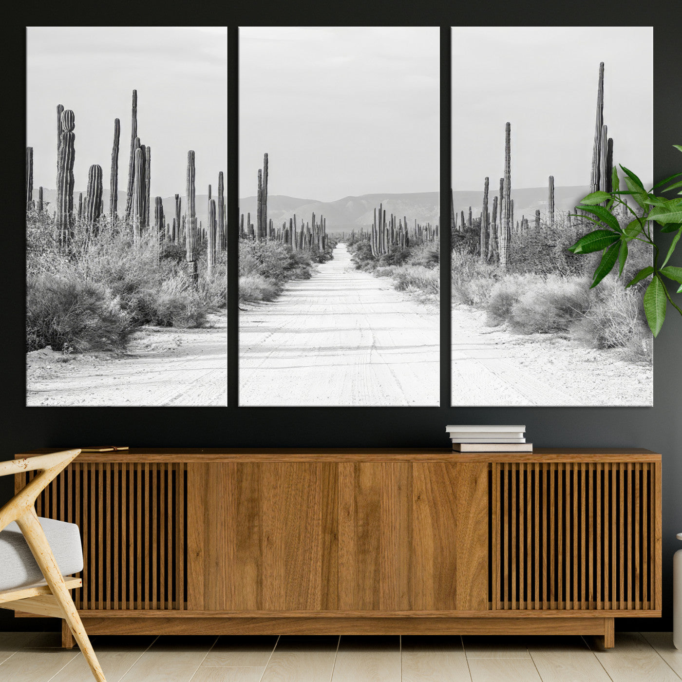 A black and white desert road stretching through a cactus-filled landscape, creating a rugged and timeless southwestern aesthetic with a sense of adventure.