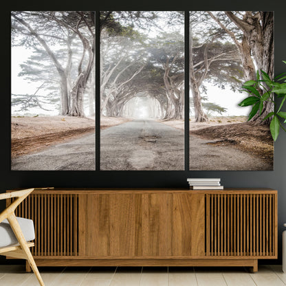 Canvas of a misty tree tunnel with arching cypress trees and an earthy road, ideal for rustic or coastal nature decor.