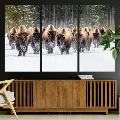 A herd of American bisons walking through a snowy forest path, perfect for rustic cabin or Western-themed wall decor.