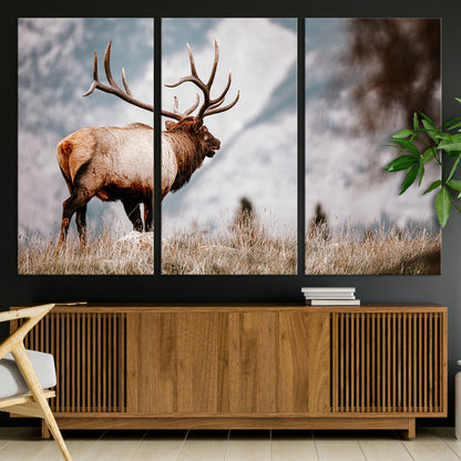Majestic elk with large antlers standing in grass with snowy mountains in background, perfect for rustic cabin or lodge style decor.