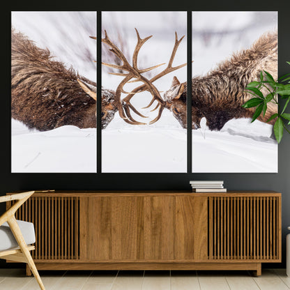 Two elk clashing antlers in a snowy forest, capturing raw power and wild energy, ideal for rustic cabin or lodge-style decor.