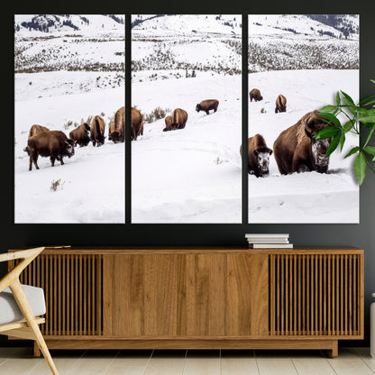A herd of bison walking through deep snow in a mountain valley, perfect for rustic, cabin or western-themed wall decor.