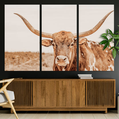 A longhorn bull standing proudly in a sunlit desert field with warm neutral tones, ideal for rustic western or farmhouse interiors.