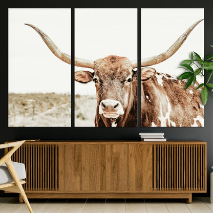 A Texas longhorn bull with wide horns, standing in a dry field under soft light, ideal for rustic farmhouse or western-themed interiors.