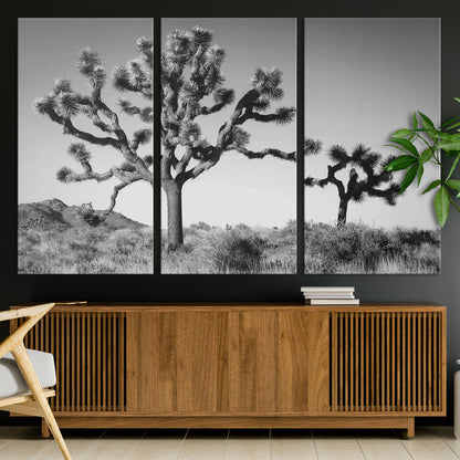 Black and white Joshua trees in a rugged desert landscape, creating a calm and minimalist feel for natural or rustic-themed interiors.