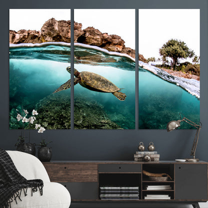 Dynamic split-view photo of a sea turtle swimming near rocky shores, perfect for vibrant coastal or tropical beach home decor.