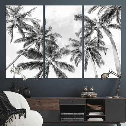 Black and white tropical palm trees viewed from below, swaying gently against a bright sky, creating a serene and elegant coastal atmosphere.