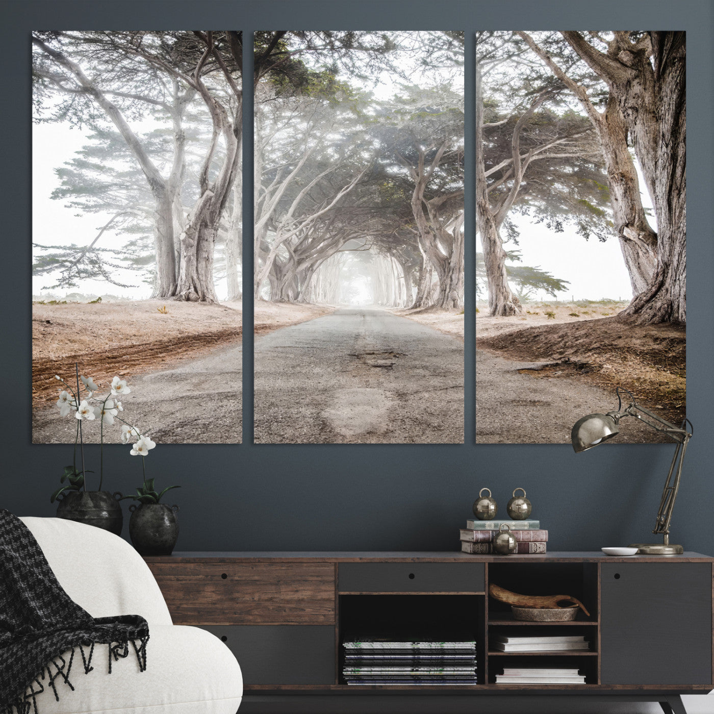 Canvas of a misty tree tunnel with arching cypress trees and an earthy road, ideal for rustic or coastal nature decor.