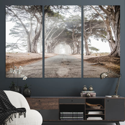 Canvas of a misty tree tunnel with arching cypress trees and an earthy road, ideal for rustic or coastal nature decor.