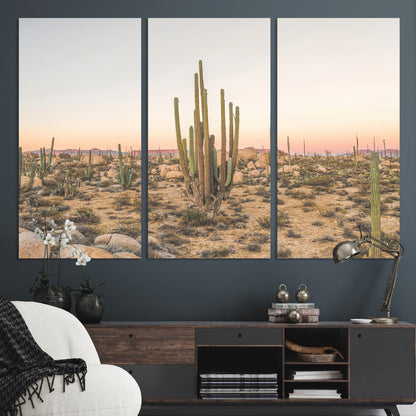 Canvas of tall desert cacti in warm sunset tones over a rocky Baja landscape, ideal for earthy or Southwestern-style home decor.