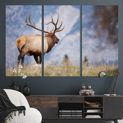Elk with antlers standing on grass with mountain background, ideal for rustic, cabin, or lodge-inspired wall decor.