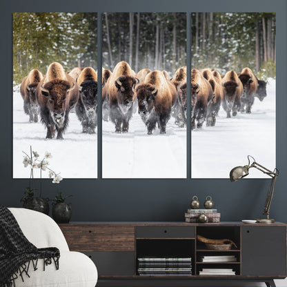 A herd of American bisons walking through a snowy forest path, perfect for rustic cabin or Western-themed wall decor.