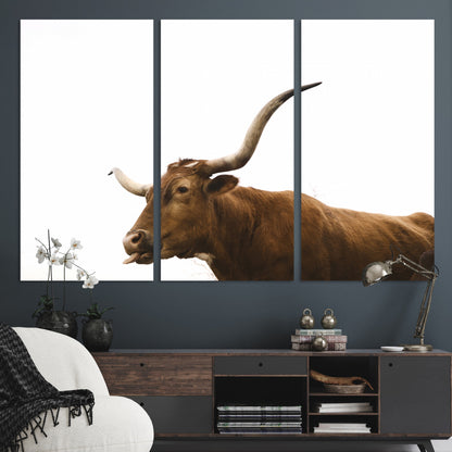 Minimal photo of a longhorn cow with white background, ideal for rustic, western or farmhouse-style interior decor.