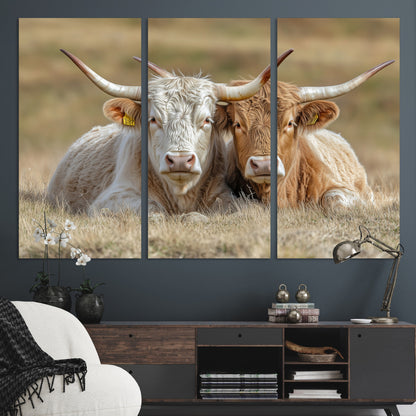 Two cows laying closely in a dry grassy field, captured in soft light, perfect for rustic farmhouse or western style home decor.