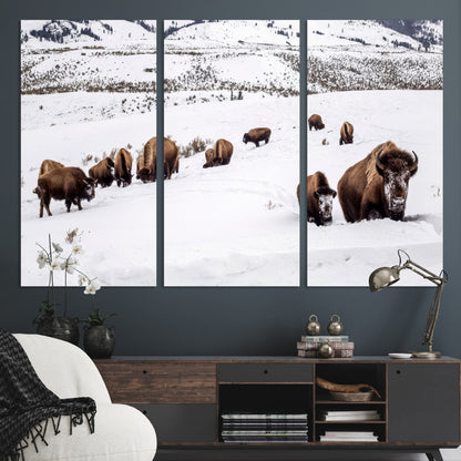 A herd of bison walking through deep snow in a mountain valley, perfect for rustic, cabin or western-themed wall decor.