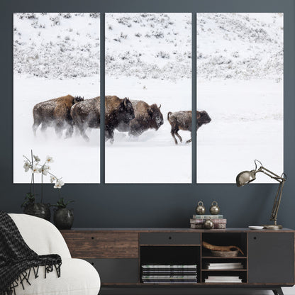 Bison herd running through a snowy open field with mountain backdrop, perfect for rustic or western-themed wall decoration.