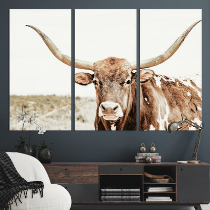 A Texas longhorn bull with wide horns, standing in a dry field under soft light, ideal for rustic farmhouse or western-themed interiors.