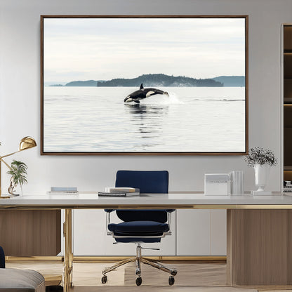 An orca jumping out of calm ocean waters with a misty island in the background, creating a serene and minimalist marine wildlife scene.