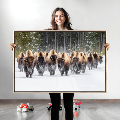 A herd of American bisons walking through a snowy forest path, perfect for rustic cabin or Western-themed wall decor.